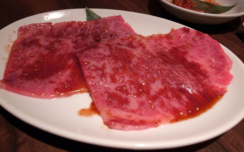 shibaura03_toro1